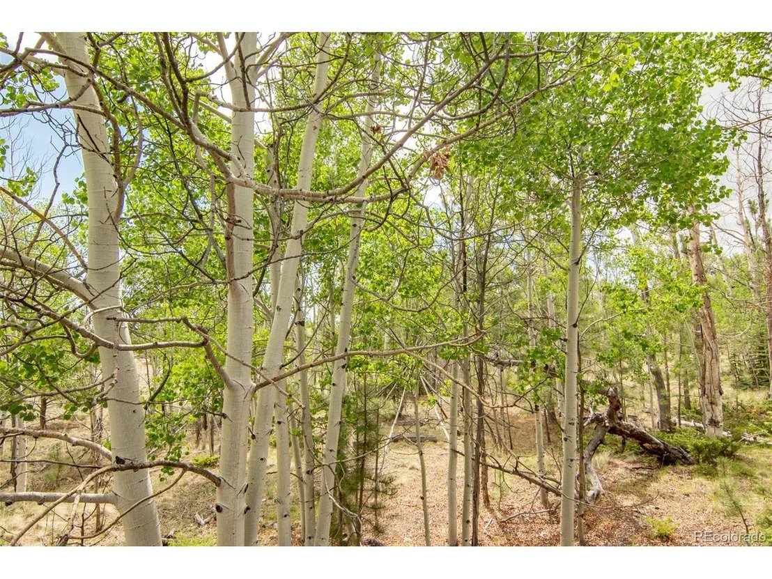 Photo of 244 Lariat Loop
