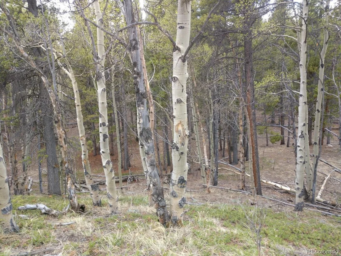 Photo of 317 Ski Doo Rd