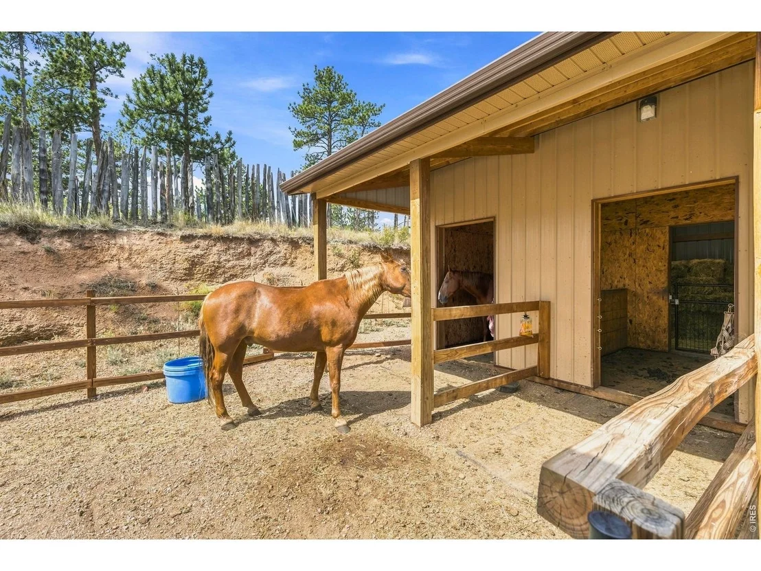 Photo of 557 Red Bluff Rd