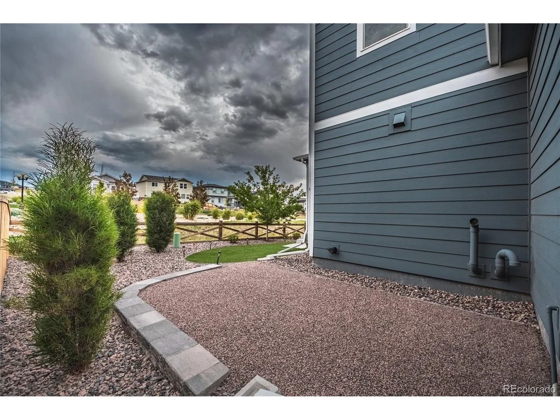 Photo of 17308 Red Cosmos Pt