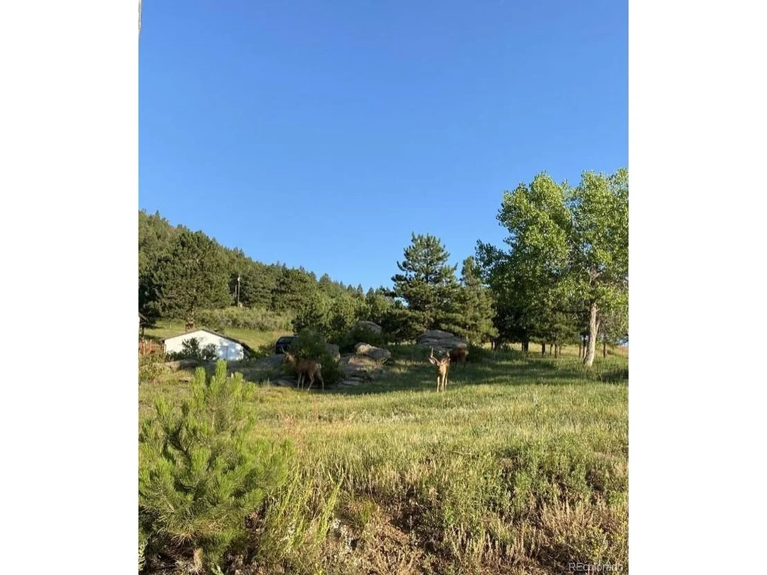 Photo of 11017 Circle Dr