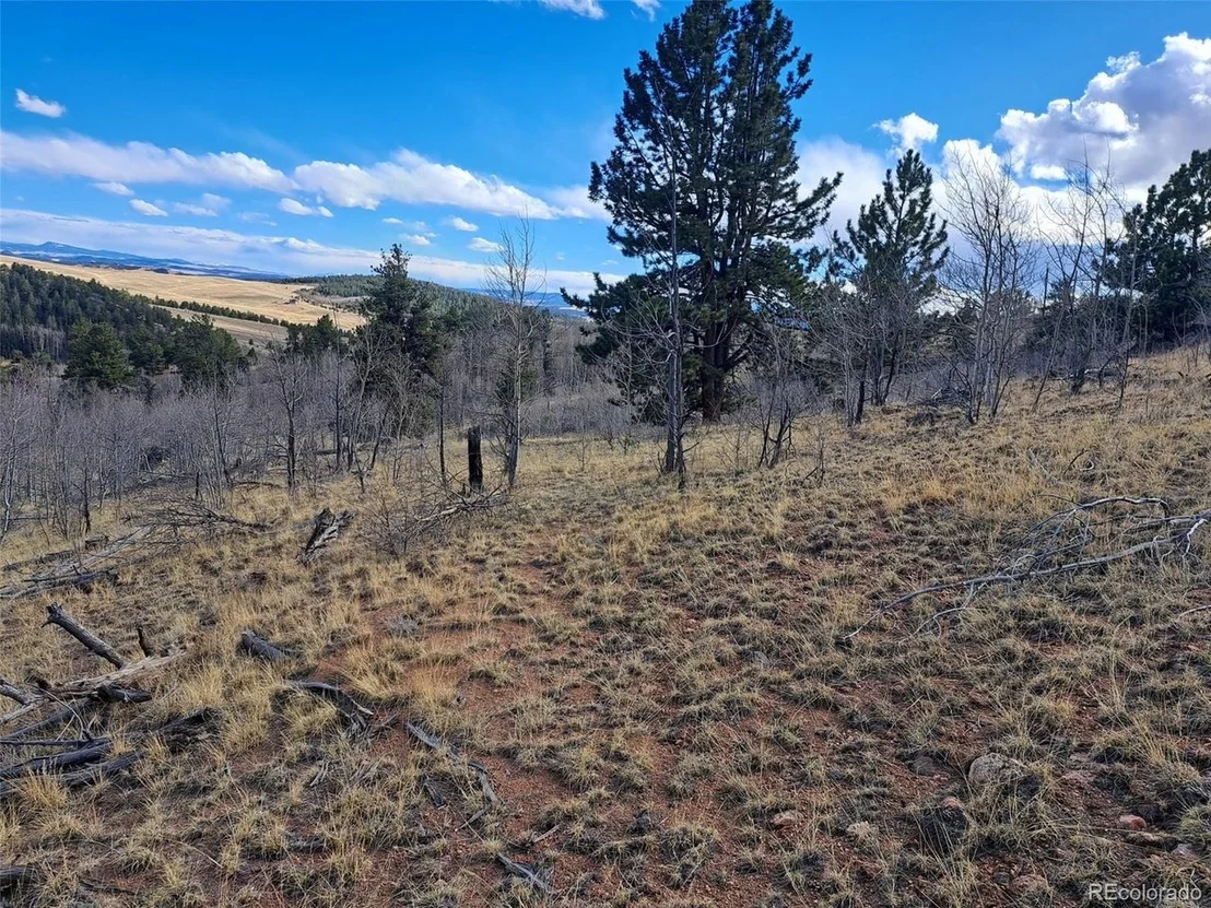 Photo of 908 Raven Way