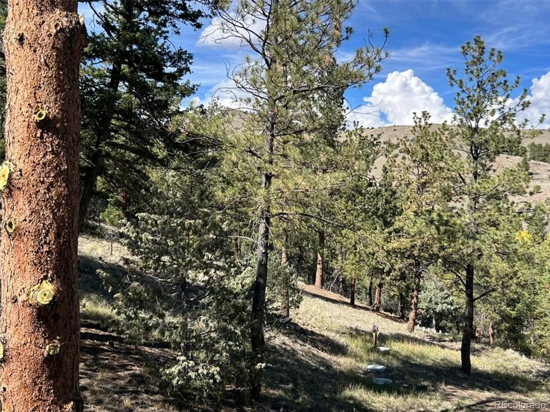 Photo of 30101 County Road 46aa