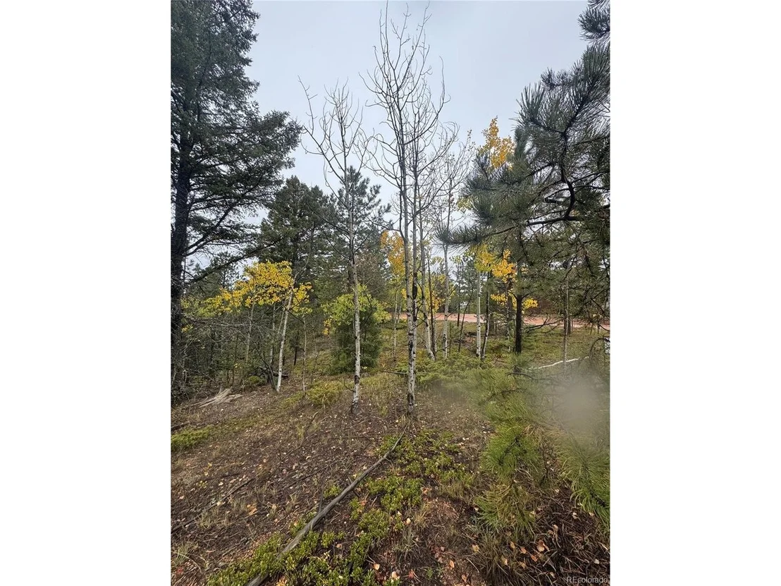 Photo of 7935 County Road 51