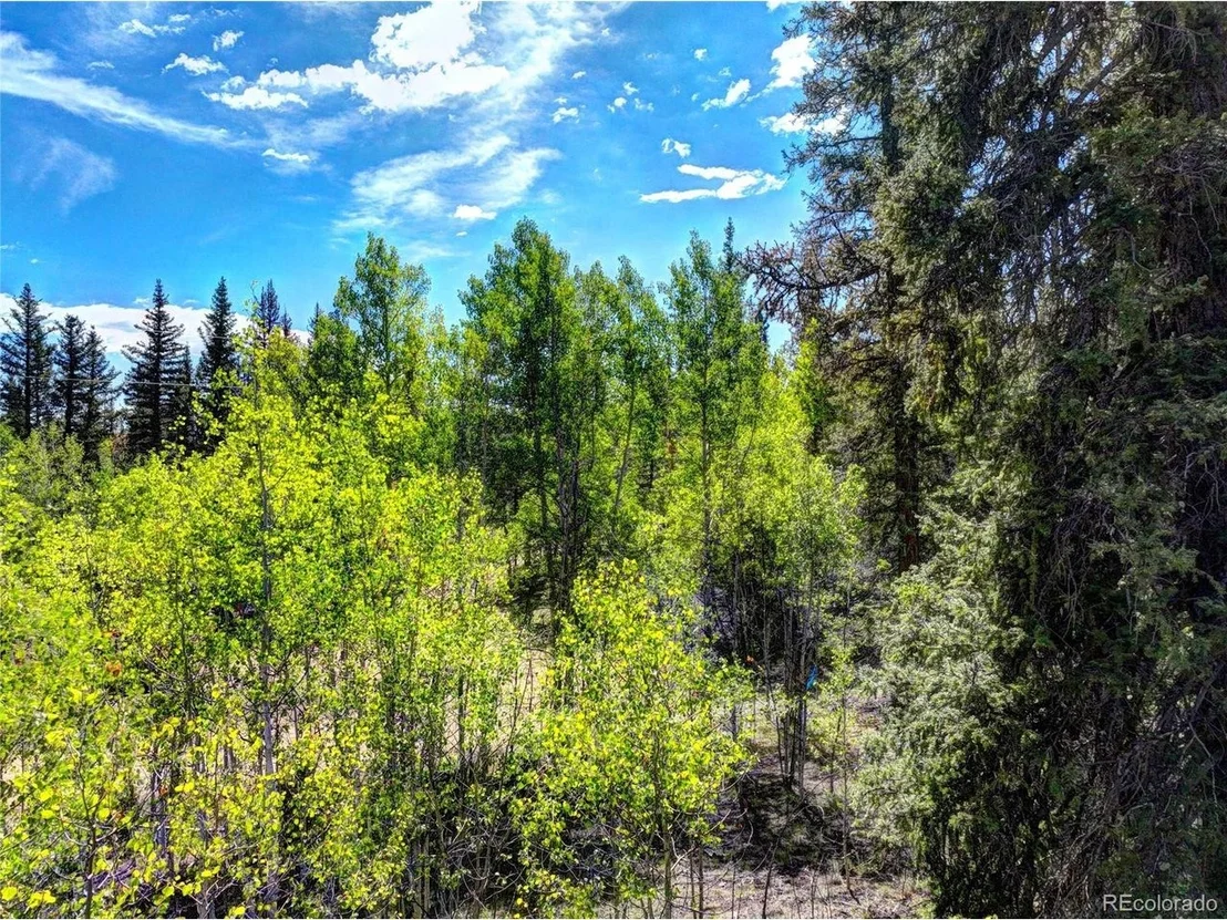Photo of 75 Swiggler Rd