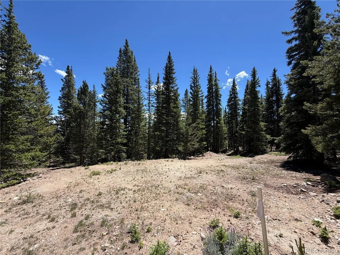 Photo of 339 Silverheels Pl