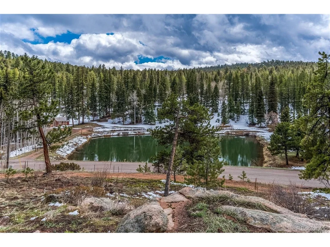 Photo of 27132 Log Trl