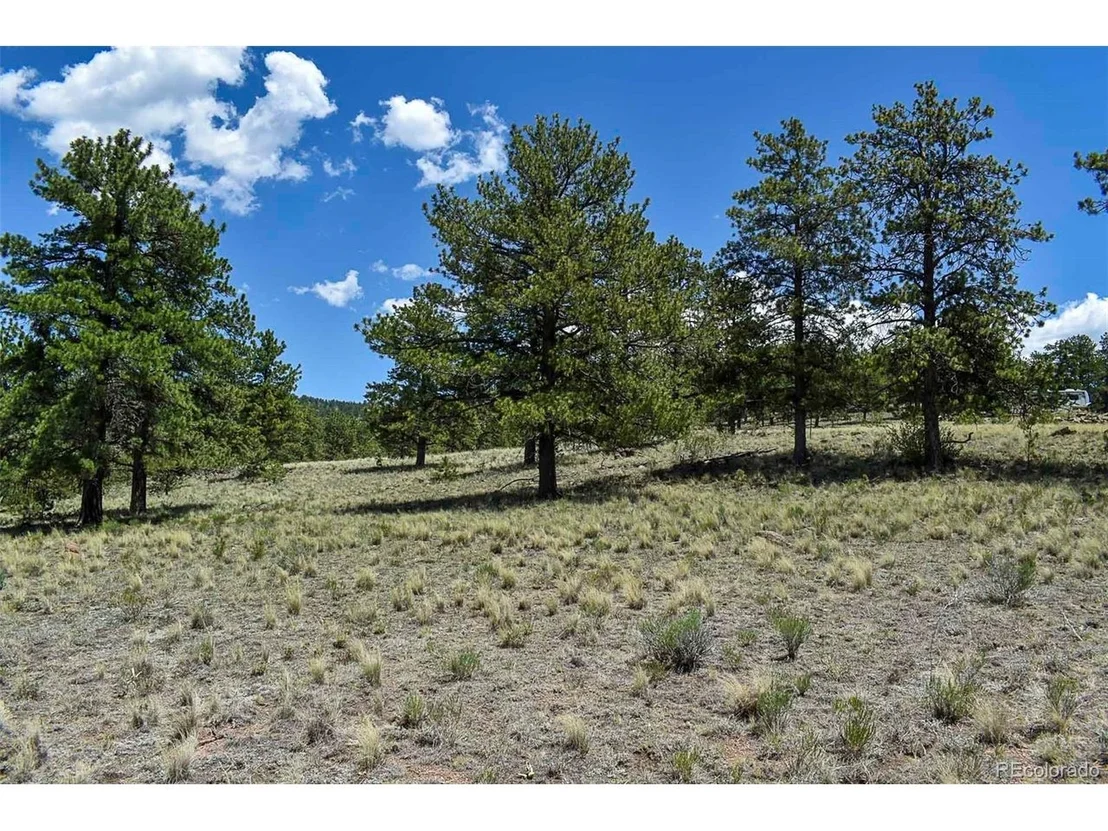 Photo of 4278 County Road 71