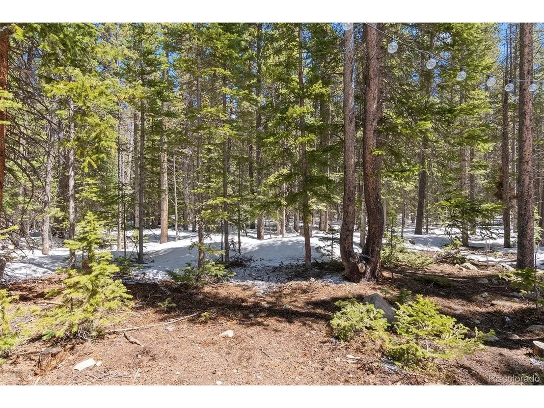 Photo of 400 Upper Forest Rd