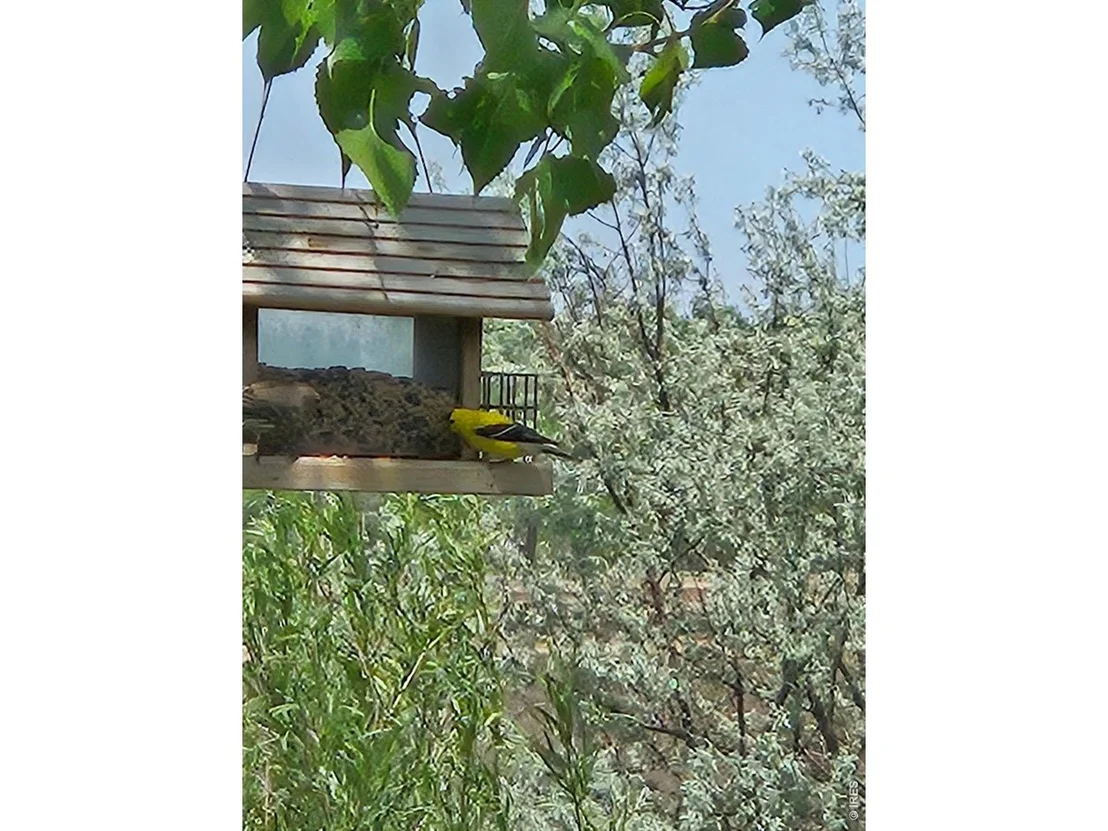 Photo of 317 Sunset Dr