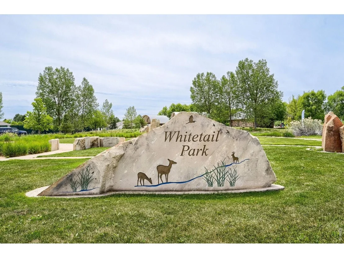 Photo of 2927 Whitetail Cir