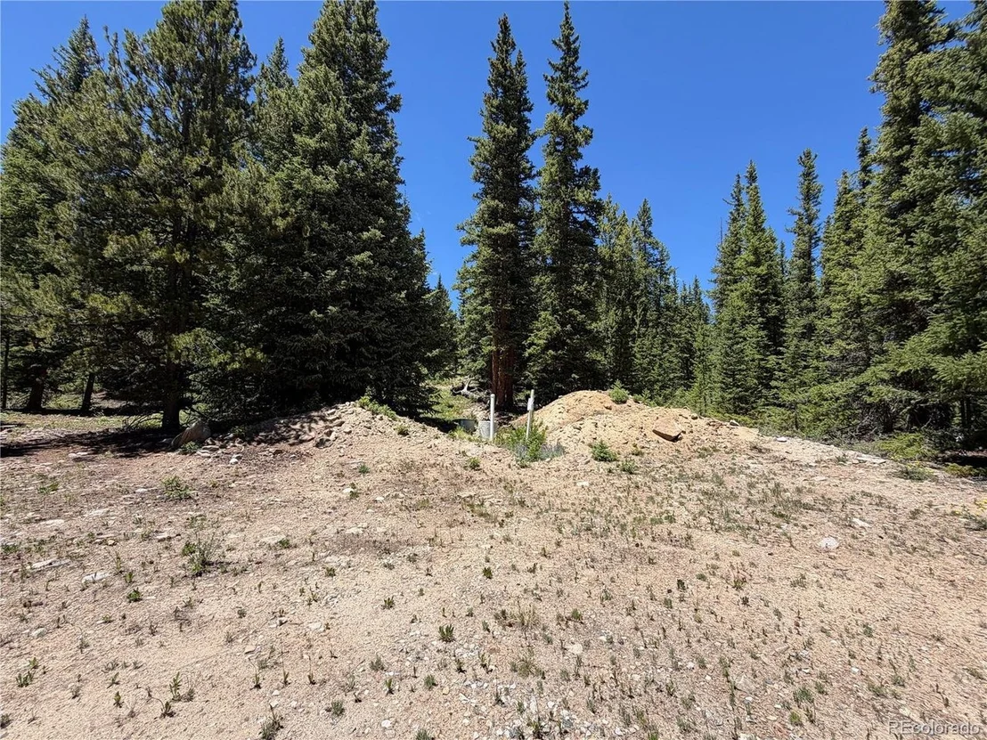 Photo of 339 Silverheels Pl