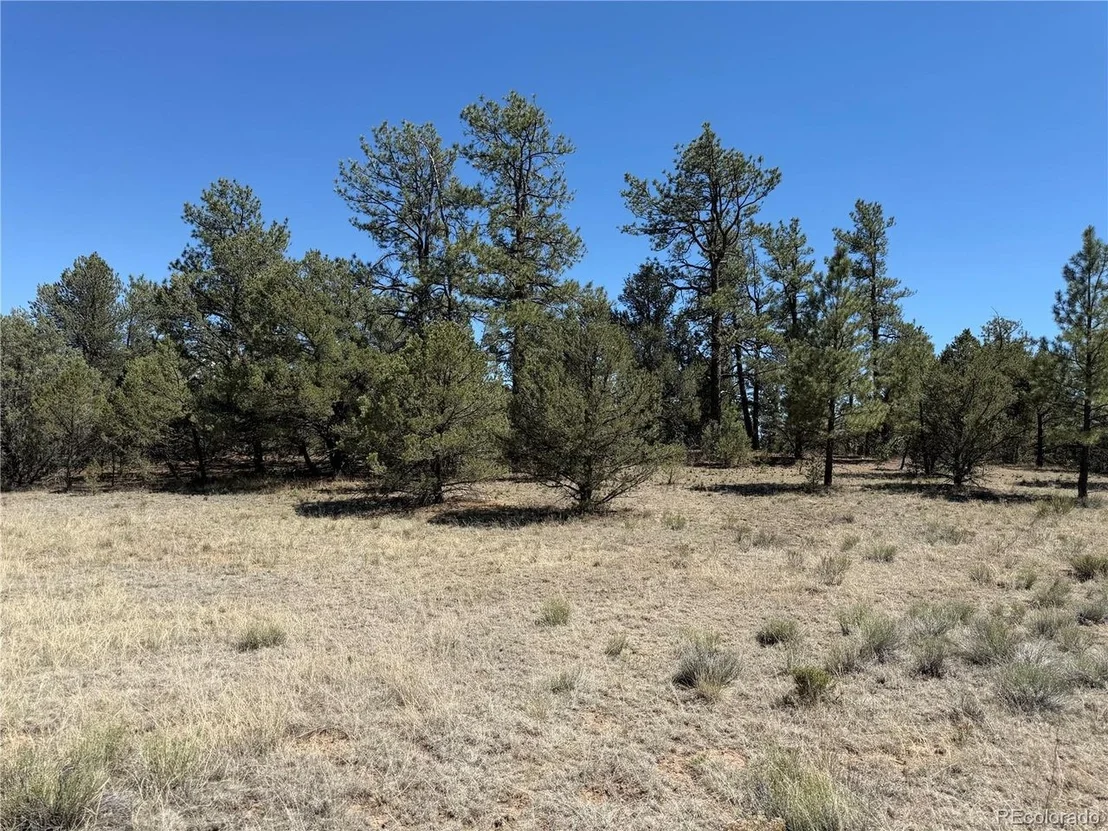 Photo of 520 W View Rd