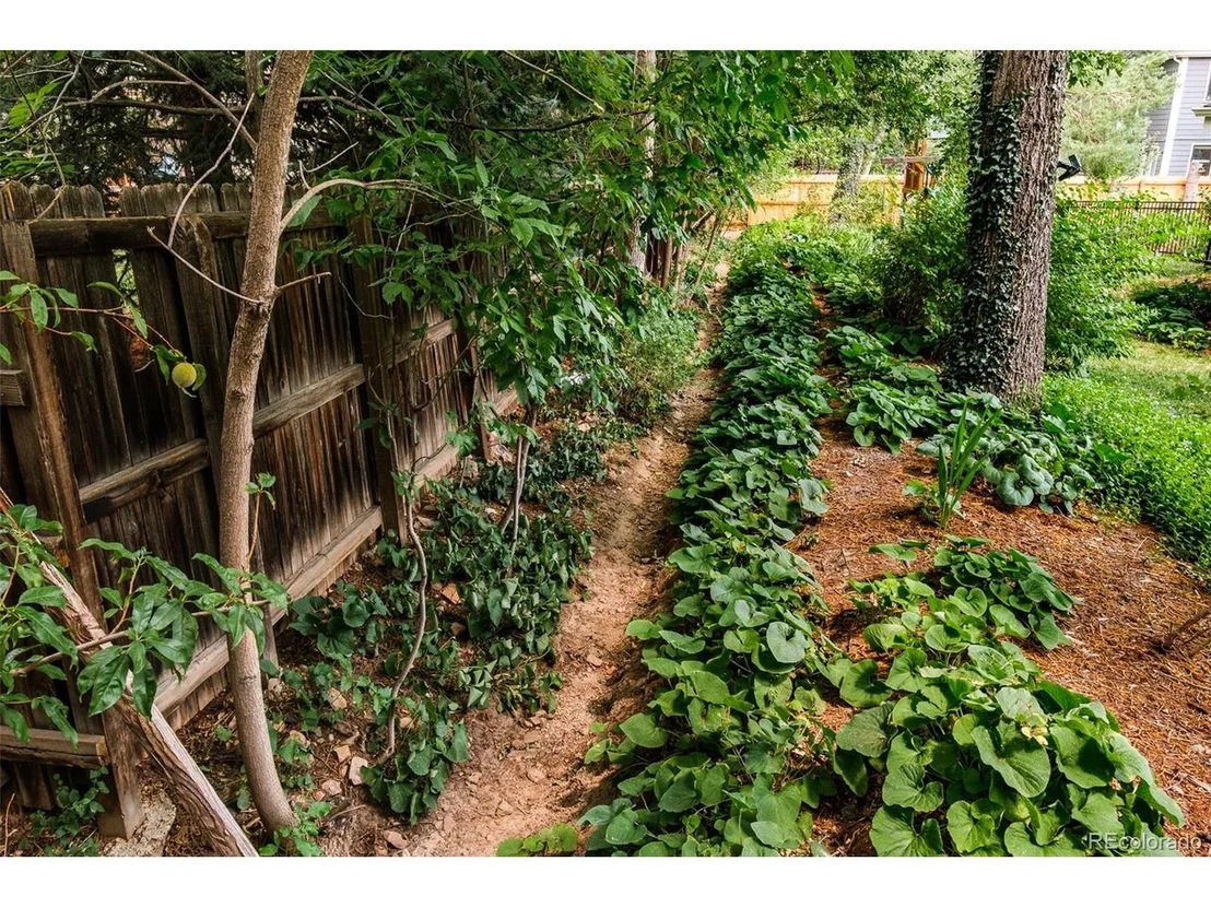 Photo of 1127 Juniper Ave