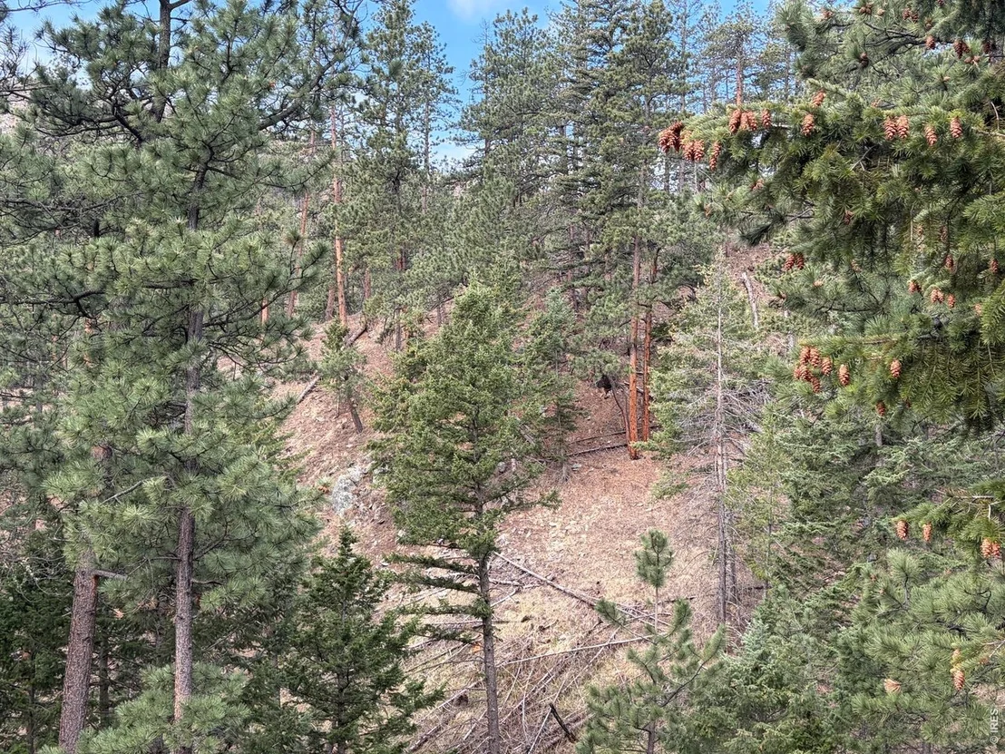 Photo of 1899 Spring Valley Rd