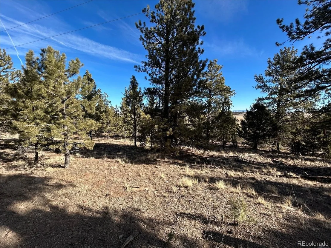 Photo of 4376 Campfire Rd