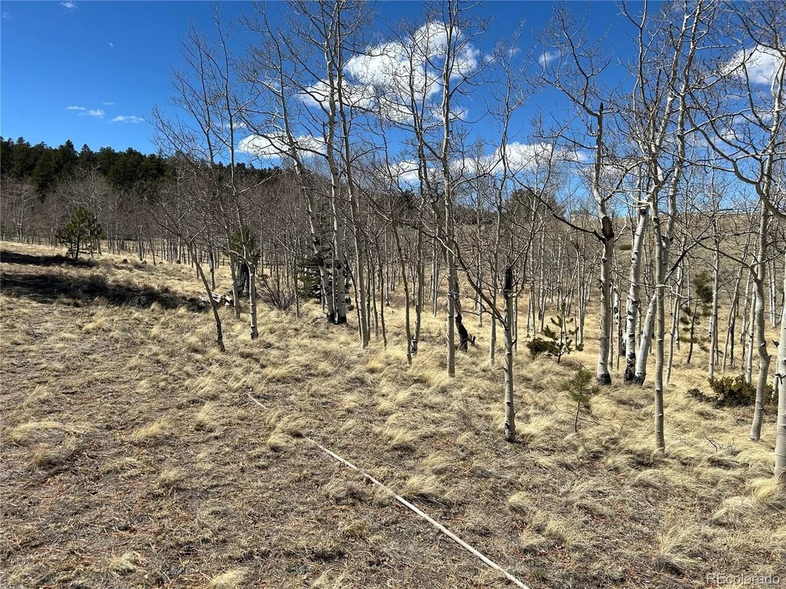 Photo of 51 Singletree Ln