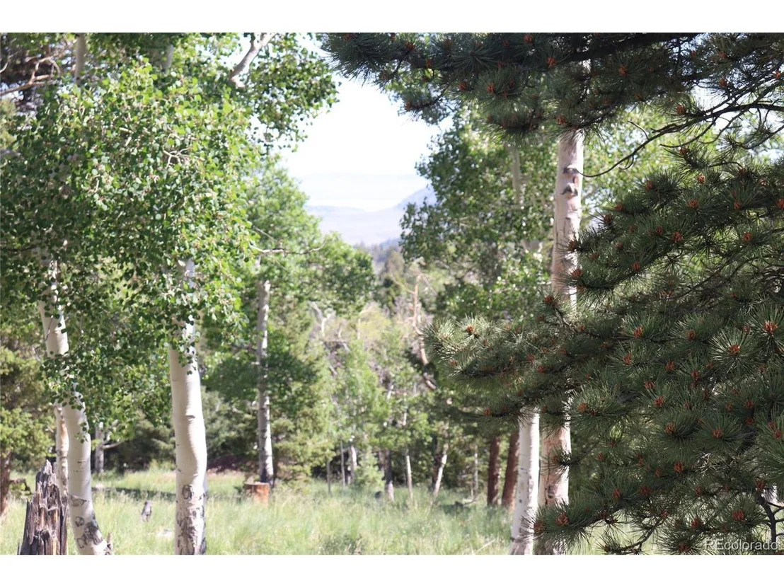 Photo of 1979 Pitchfork Rd