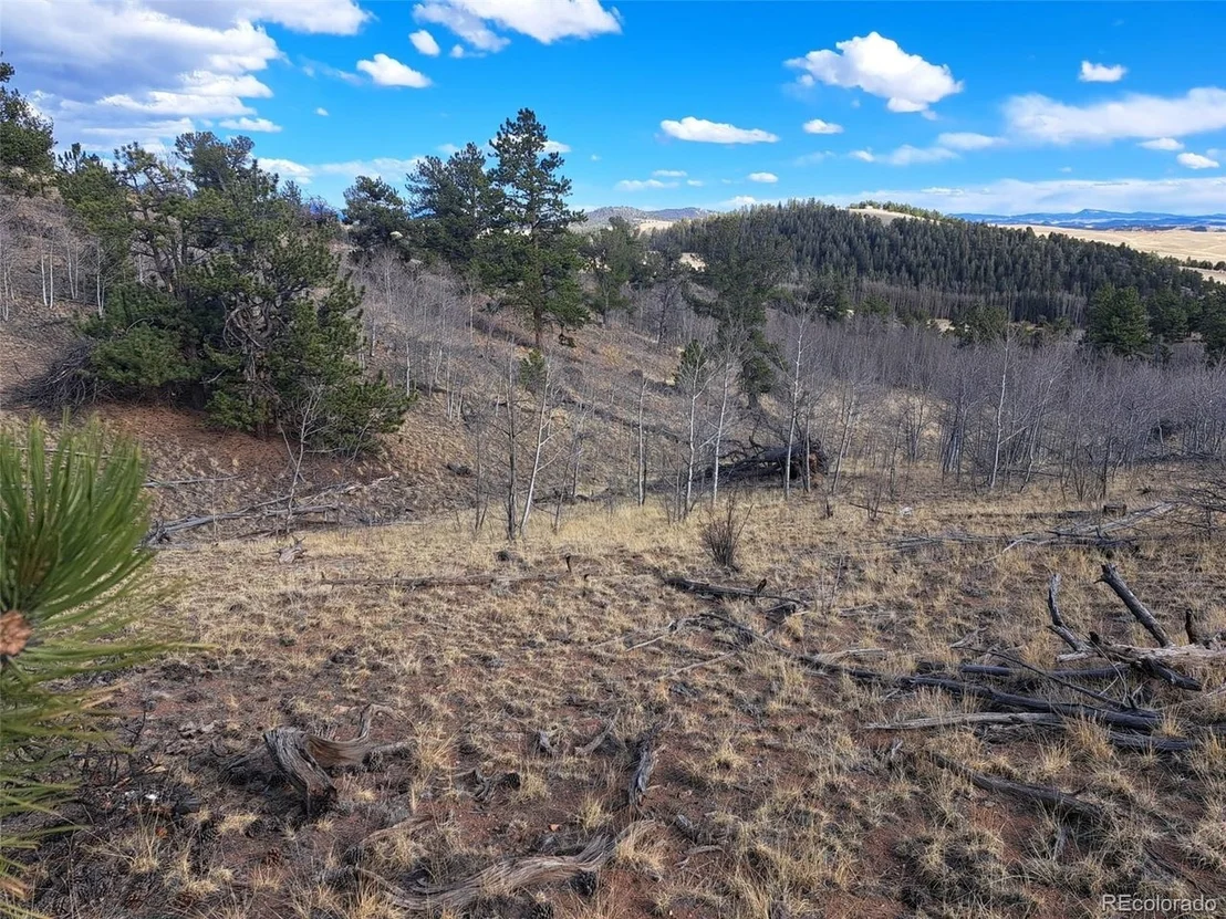 Photo of 908 Raven Way