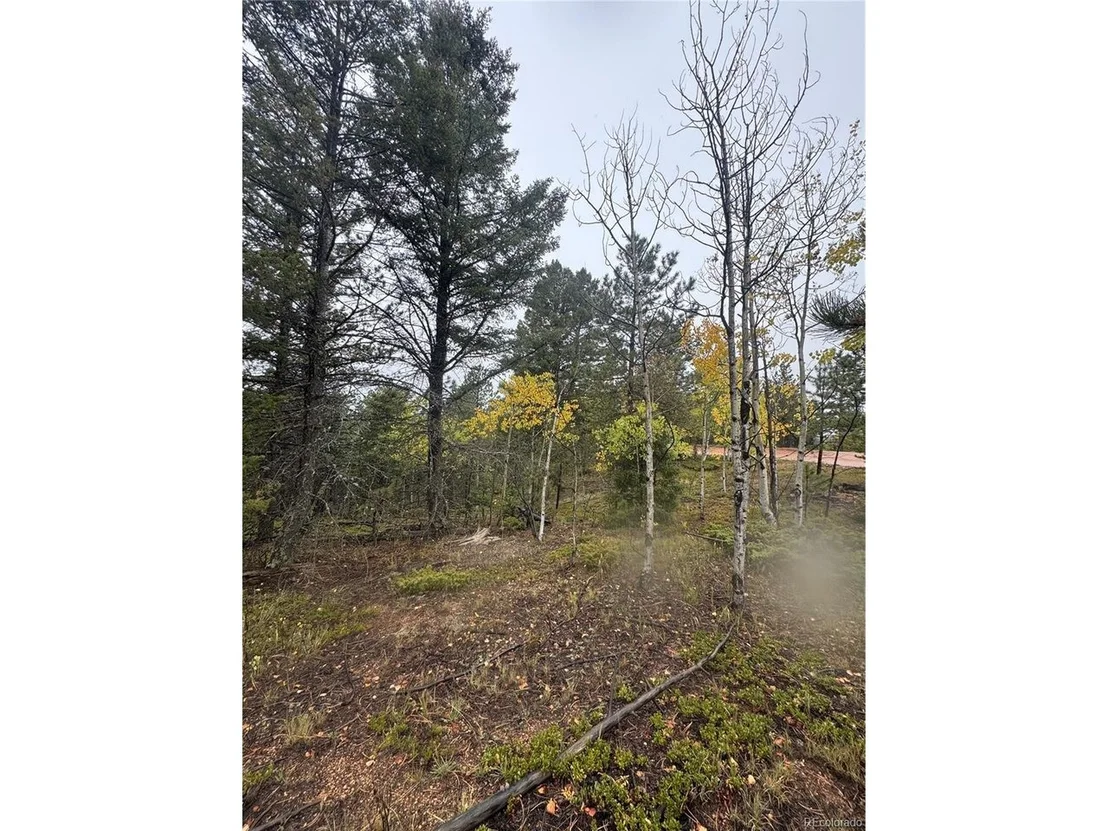 Photo of 7935 County Road 51