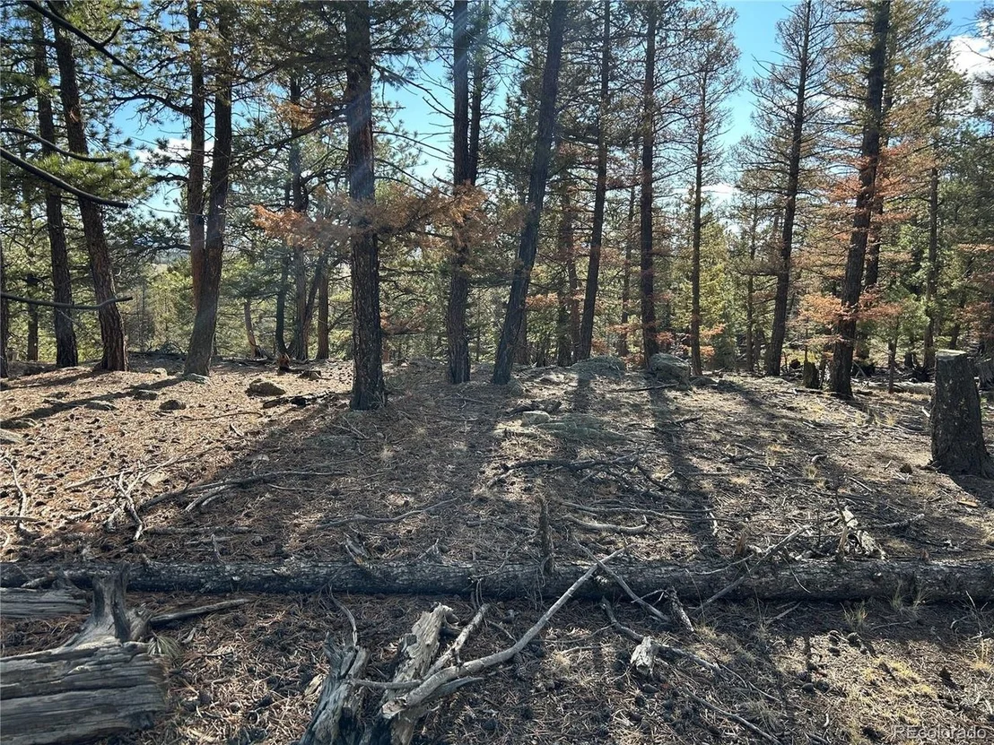 Photo of 1581 Bellows Rd