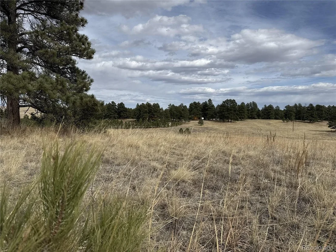 Photo of 39080 County Road 21