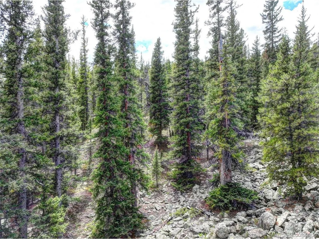 Photo of 0 Dry Gulch Rd