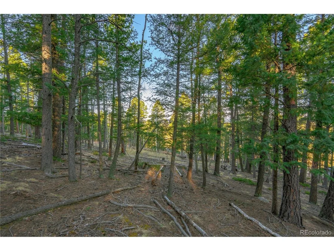 Photo of 88 Malmsey Ln