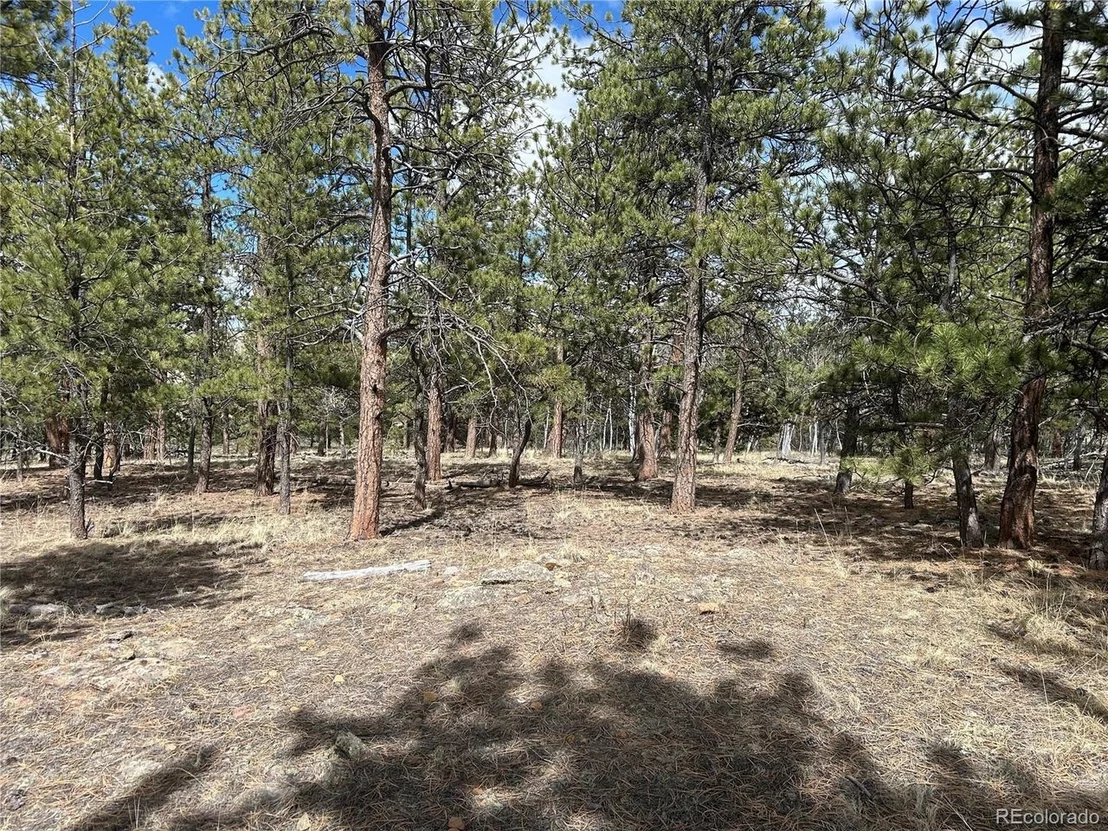 Photo of 97 Chap Way