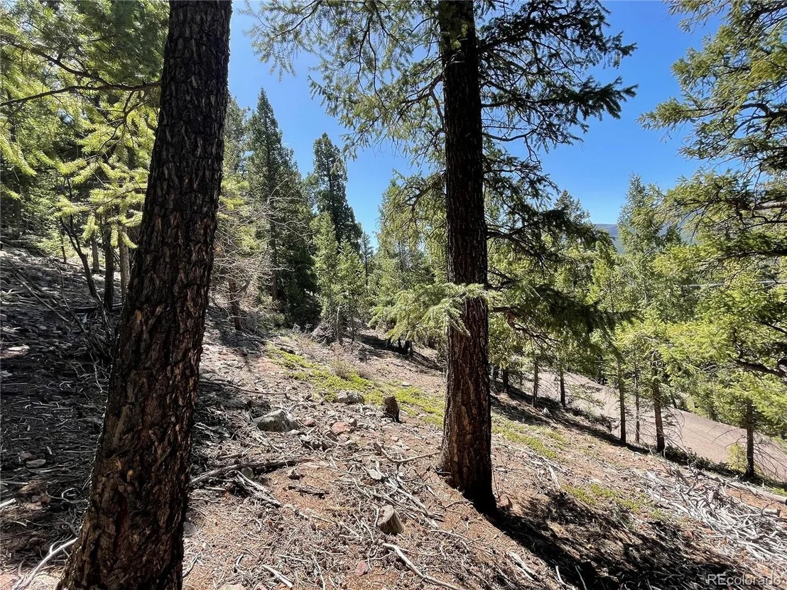 Photo of 33483 Elk Run