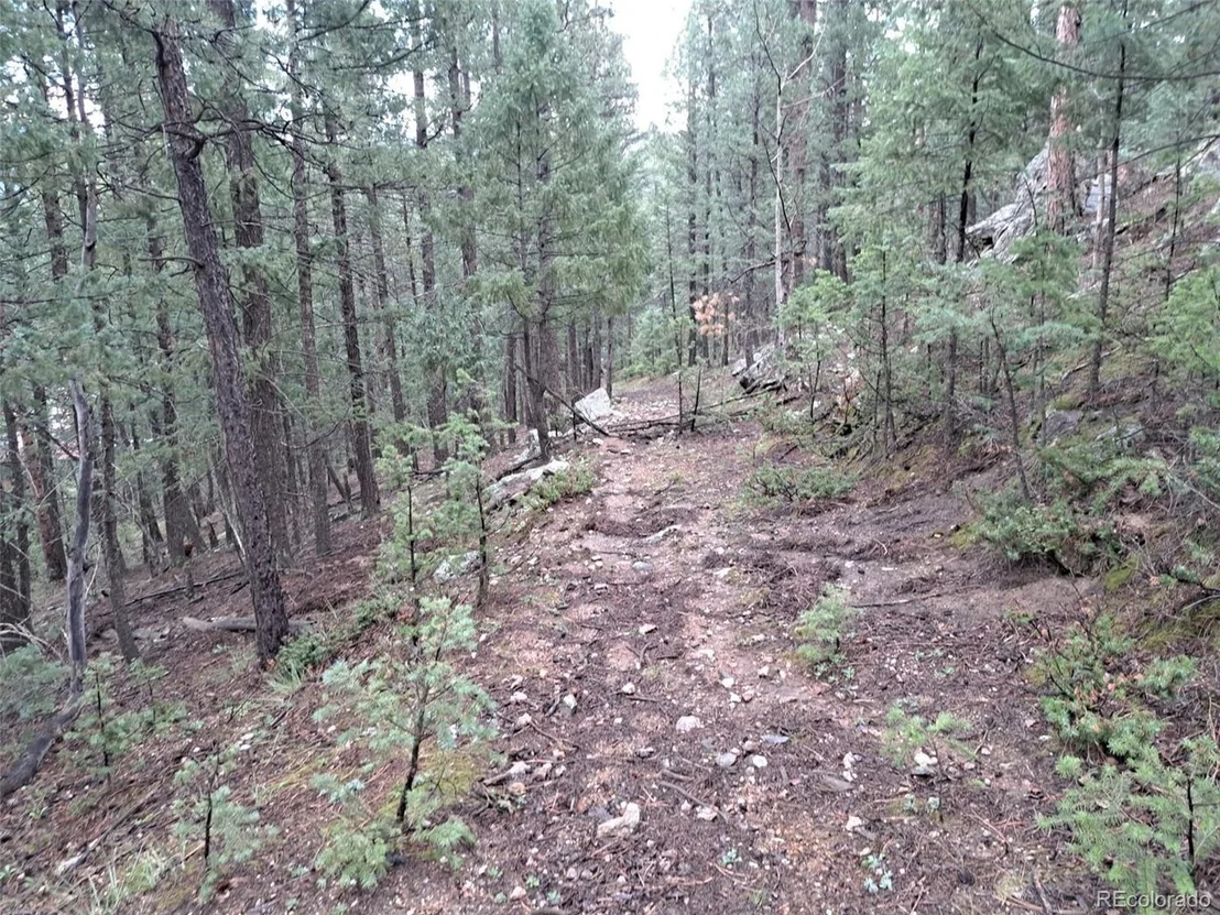 Photo of 360 Hi Meadow Dr