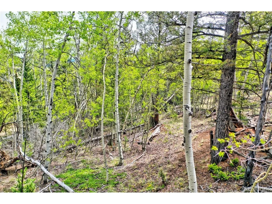 Photo of 28 Old Squaw Rd