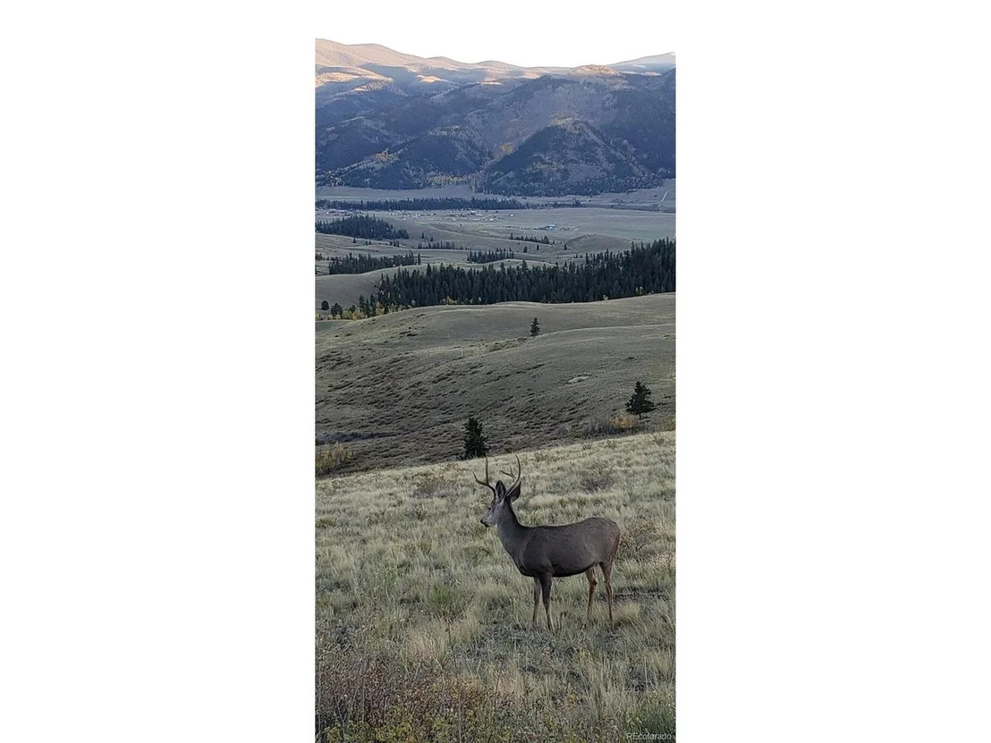 Photo of 487 County Road 504 Bachelor Loop