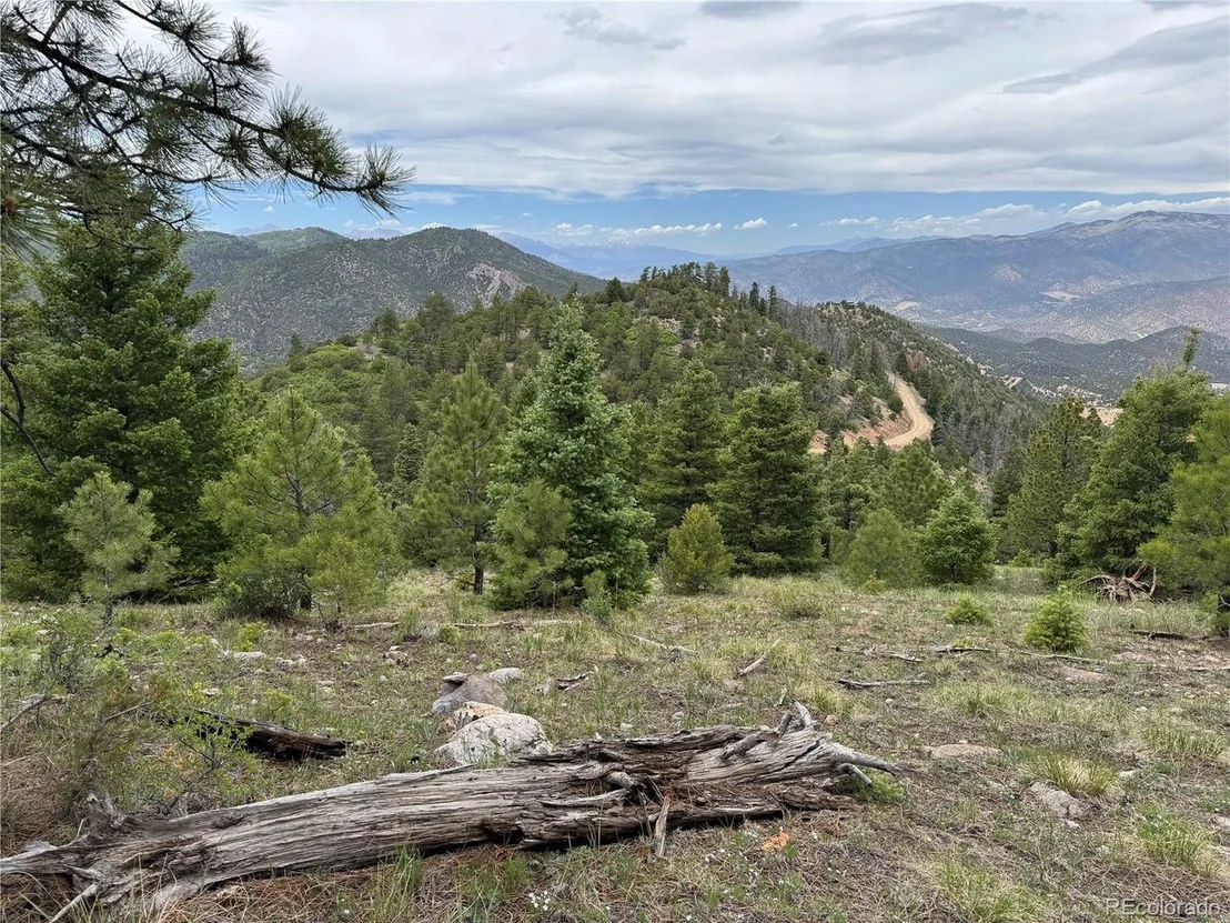 Photo of Knotty Pine Rd