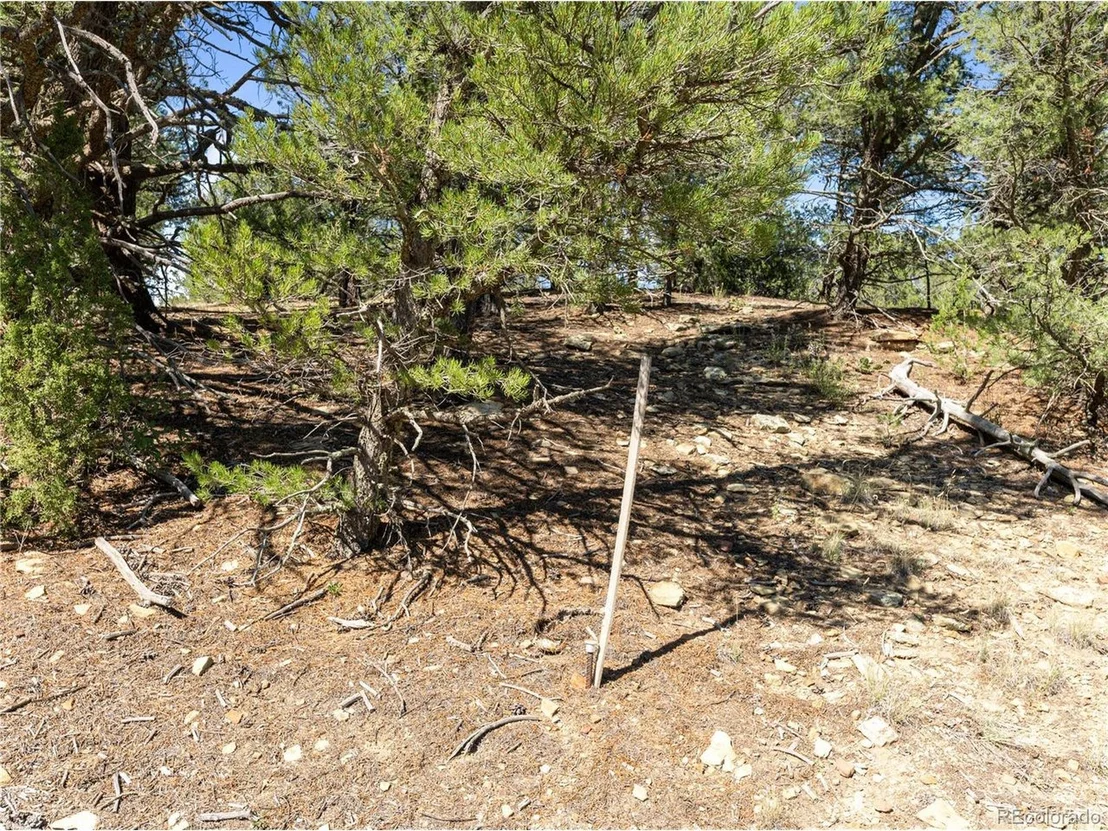 Photo of 29090 County Rd 16