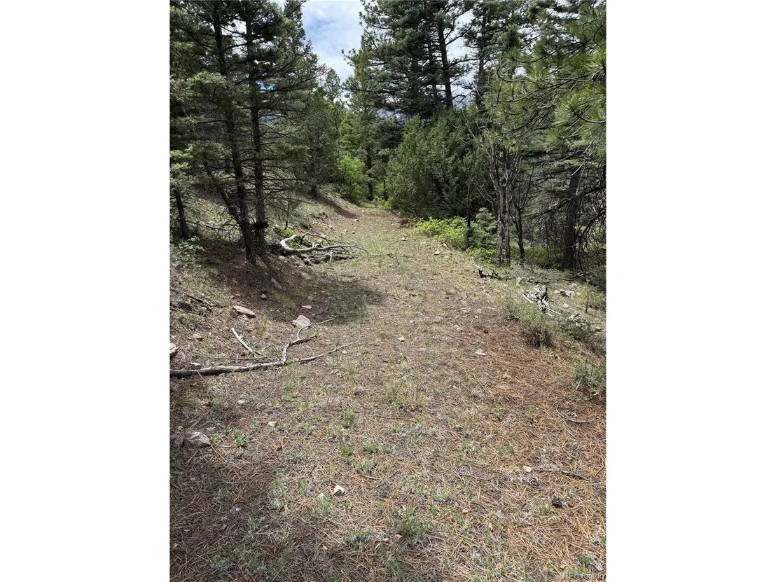 Photo of Knotty Pine Rd