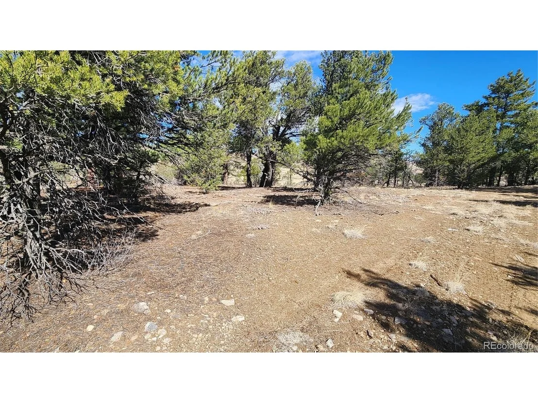 Photo of I Path