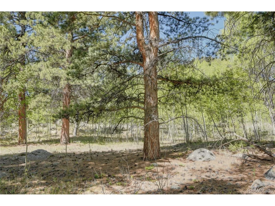 Photo of 8525 County Road 225