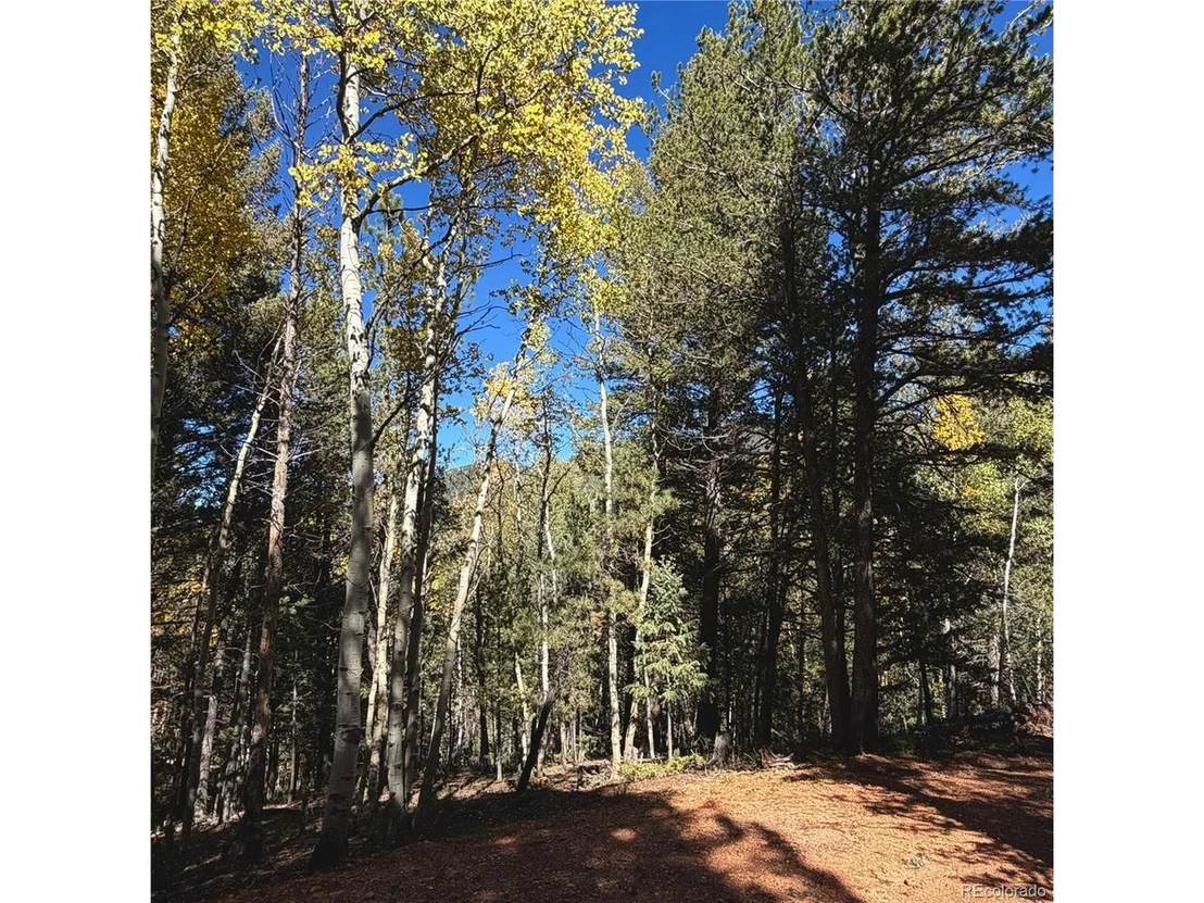 Photo of 800 Timber Ridge Rd