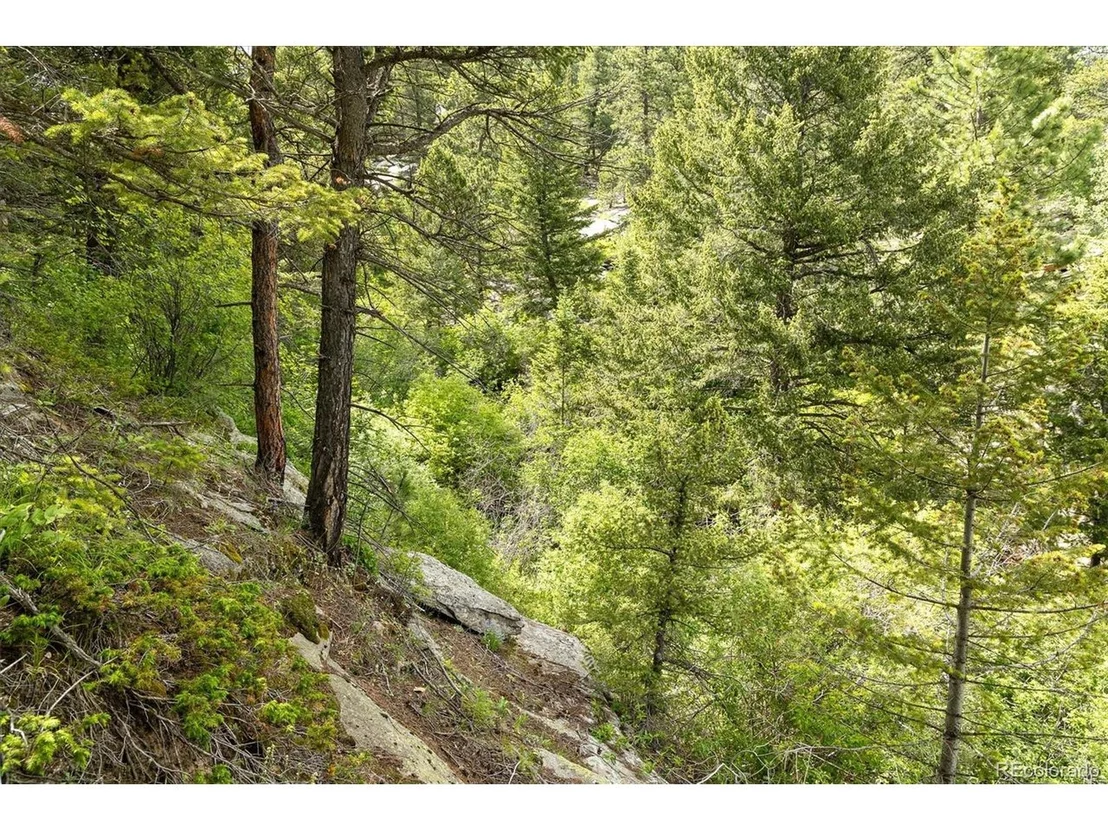 Photo of 31429 Burke Rd