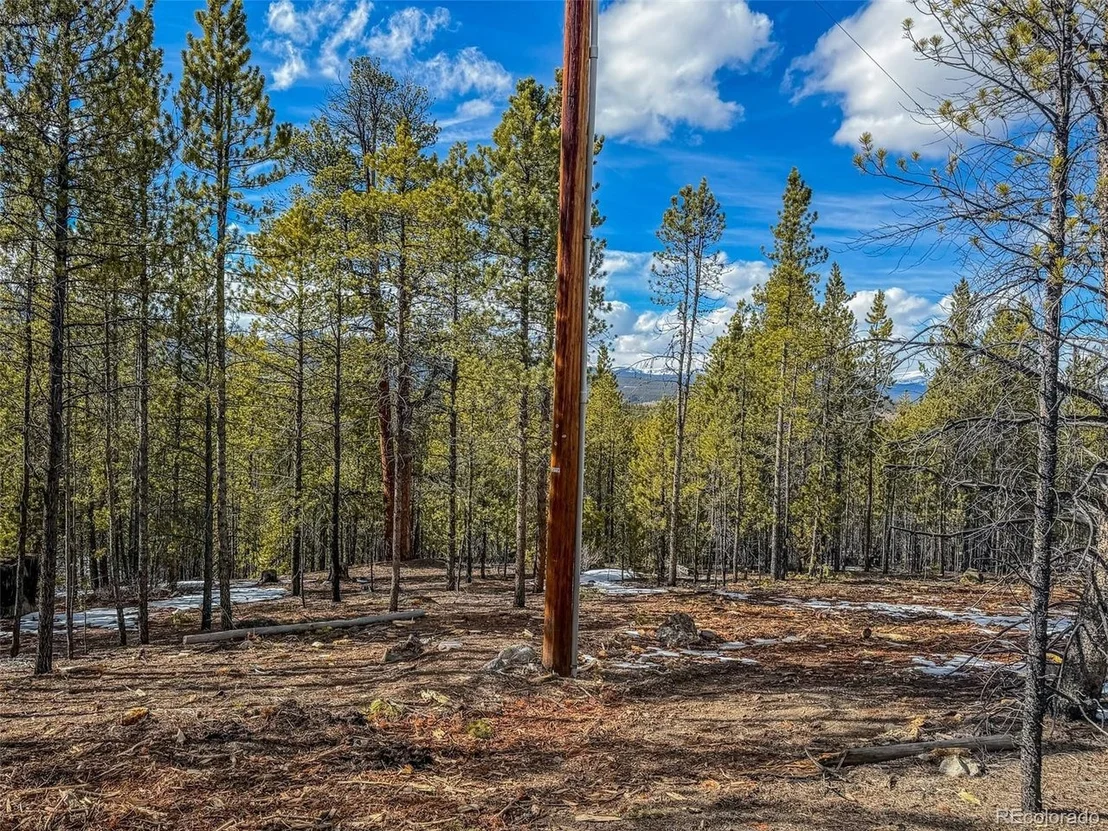 Photo of 483 Mt Massive Rd