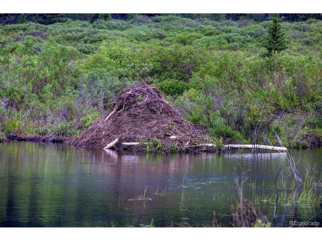 Photo of 9562 CO RD 18