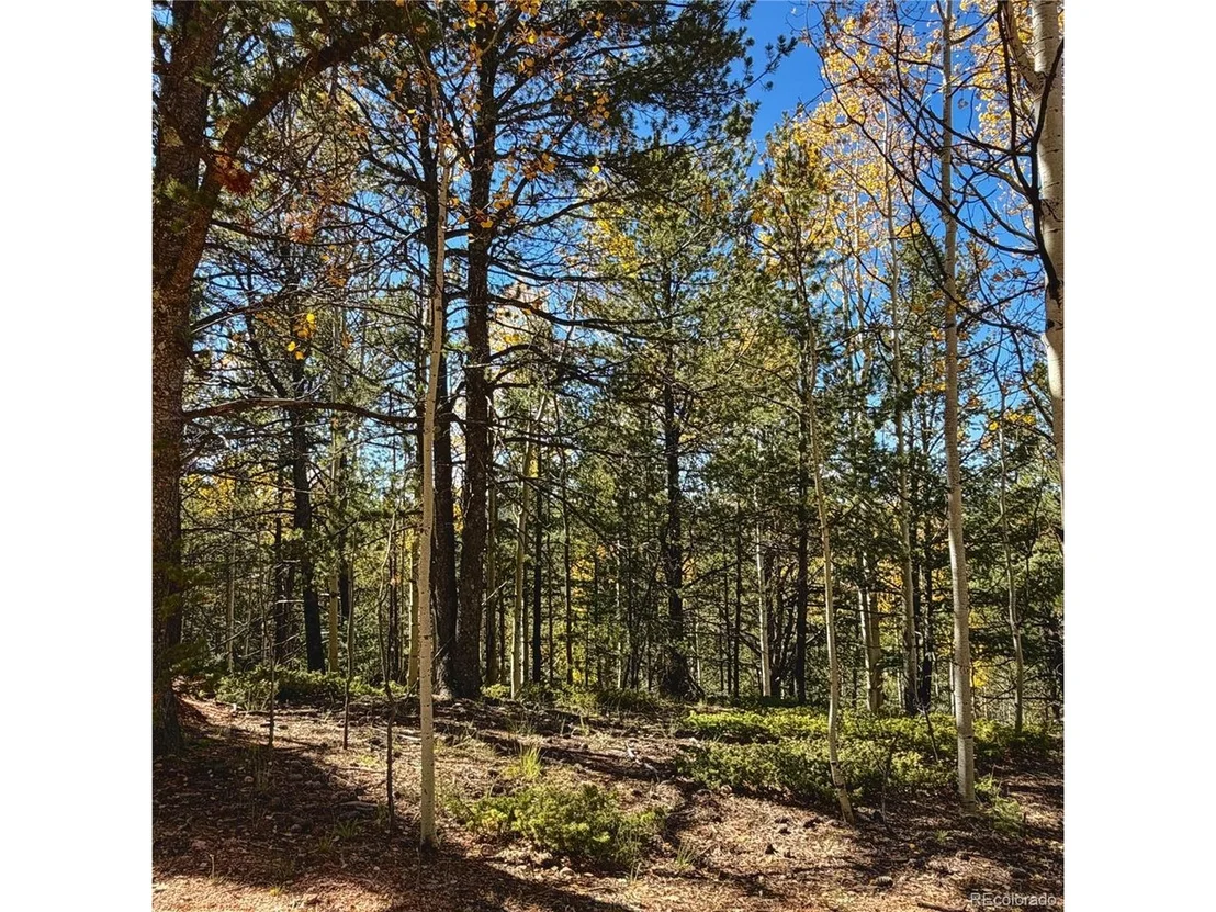 Photo of 773 Timber Ridge Rd