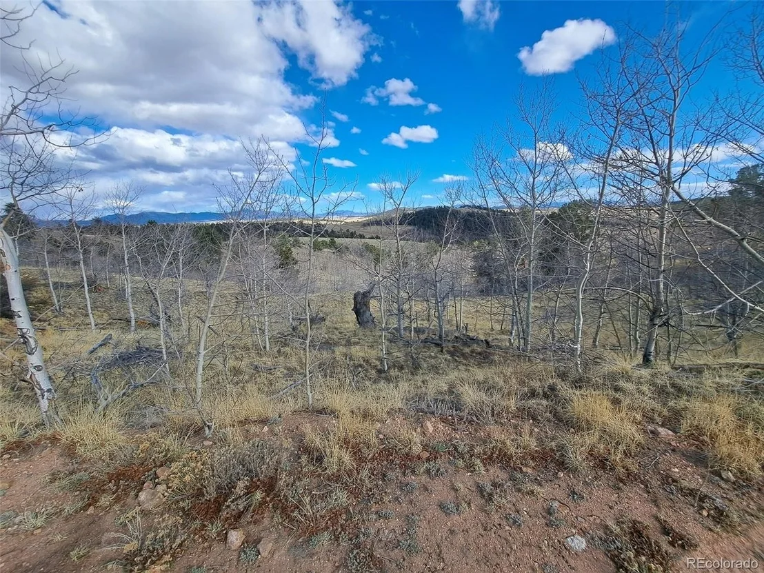 Photo of 908 Raven Way