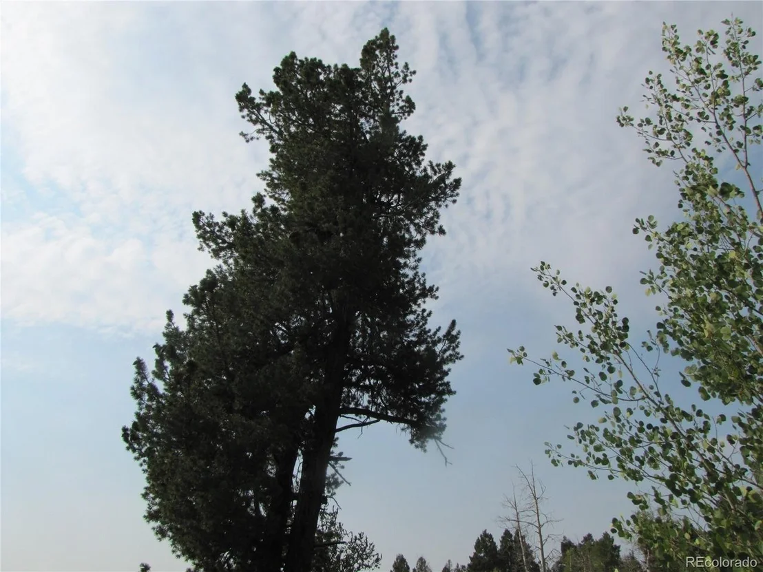 Photo of 525 Middle Fork Vis