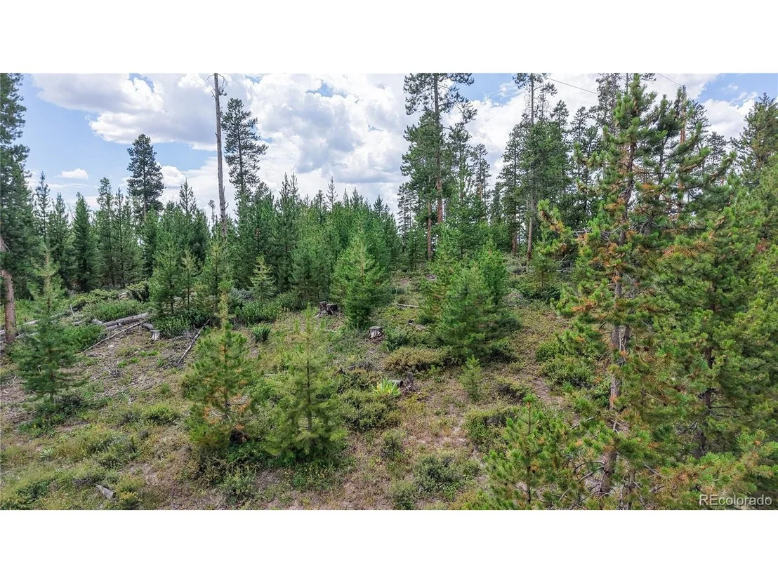 Photo of 90 County Road 452