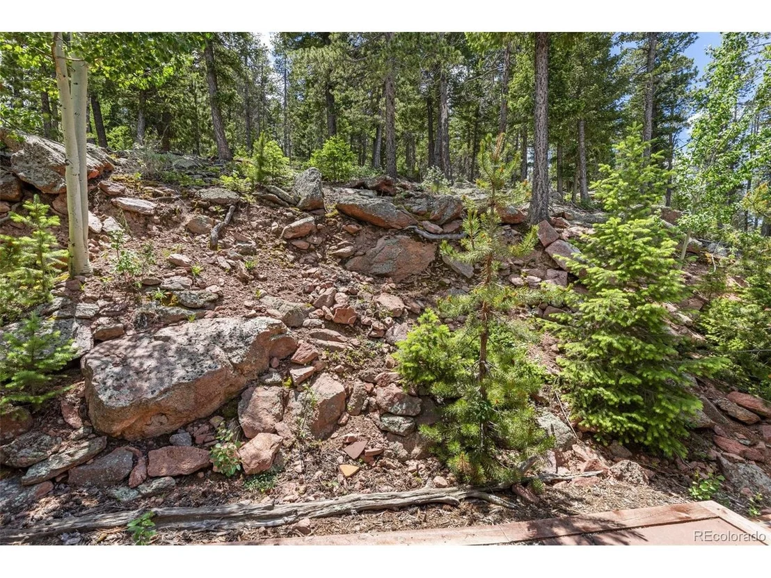 Photo of 6882 Snowshoe Trl