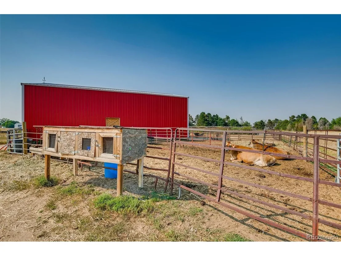 Photo of 1008 County Road 61