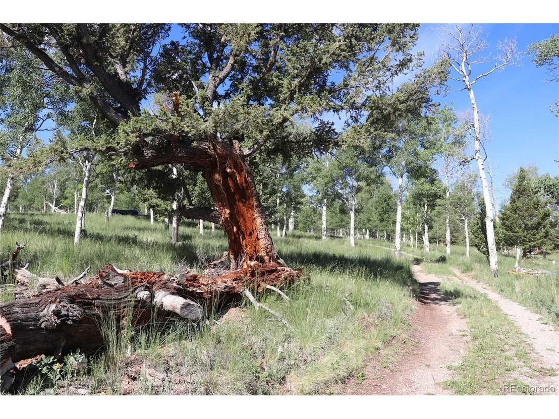 Photo of 1979 Pitchfork Rd