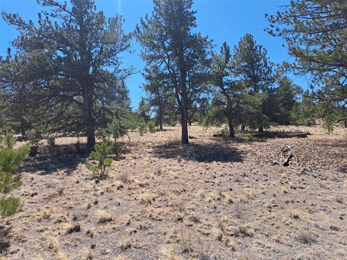 Photo of 235 Maricopa Trl